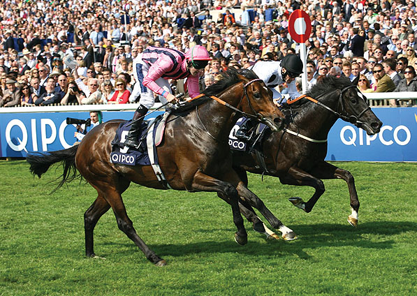  - Dandino and Paul Mulrennan winning the Jockey Club Stakes at Newmarket - 30 April 2011 - 1