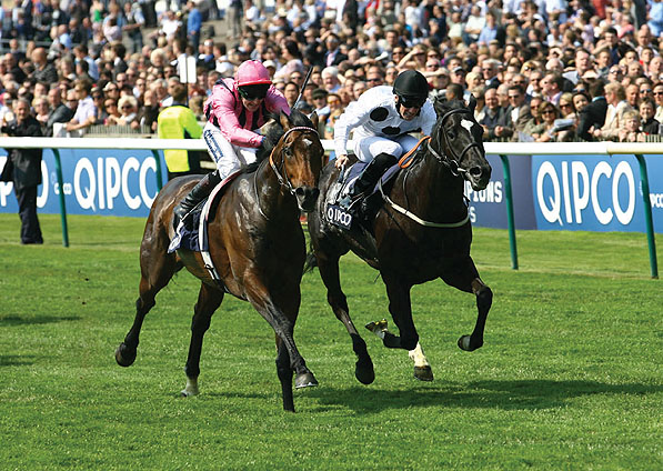  - Dandino and Paul Mulrennan winning the Jockey Club Stakes at Newmarket - 30 April 2011 - 2