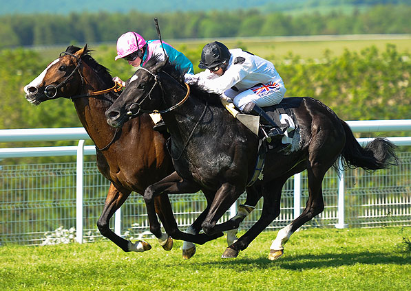  - Dandino and Hayley Turner battling with Sea Moon at Goodwood - 26 May 2012