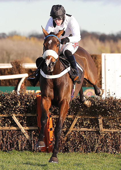  - Doyly Carte and Jason Maguire winning at Musselburgh - 8 November 2012