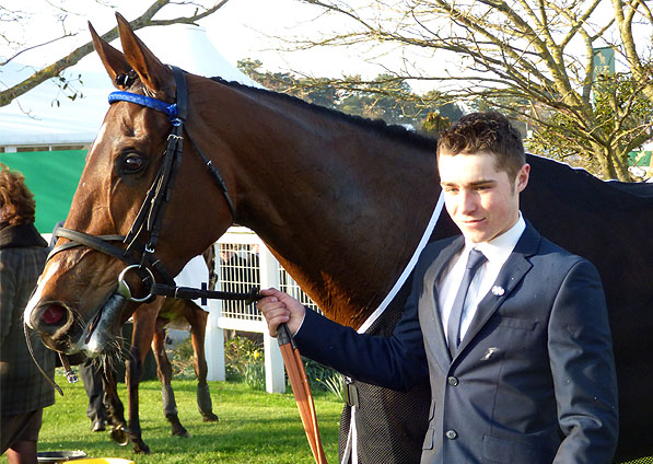  - Doyly Carte at the Cheltenham Festival - 11 March 2014 - 1