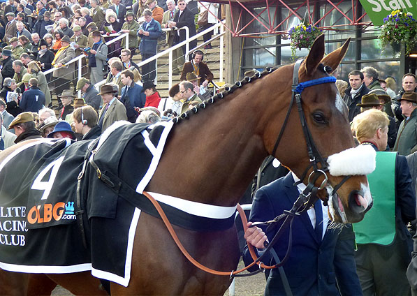  - Doyly Carte at the Cheltenham Festival - 11 March 2014 - 2