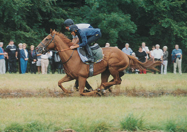  - Eisteddfod - August 2004