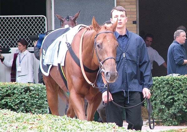  - Eisteddfod at Longchamp - 2 October 2005