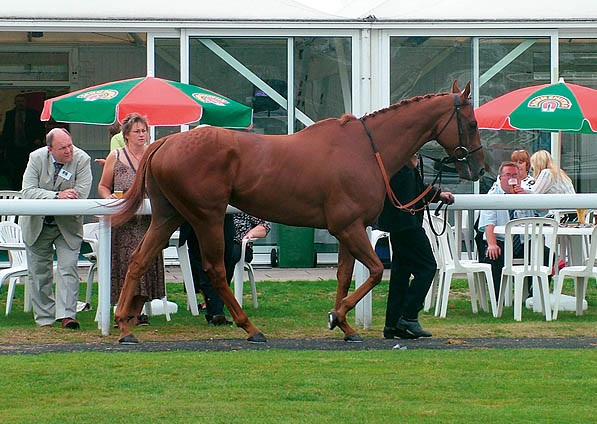  - Eisteddfod at Newbury - September 2006