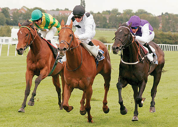  - Eisteddfod and Eddie Ahern winning at Leicester - 29 May 2007