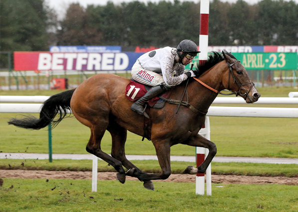  - Elgin winning under Wayne Hutchinson at Haydock - 26 March 2016