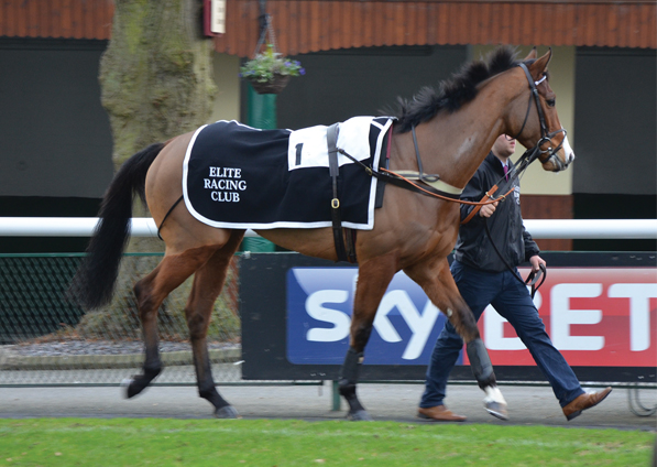  - Elgin at Haydock - 21 January 2017