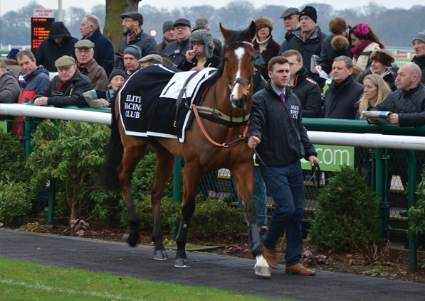  - Elgin at Haydock - 21 January 2017