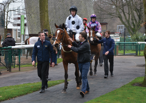  - Elgin at Haydock - 21 January 2017