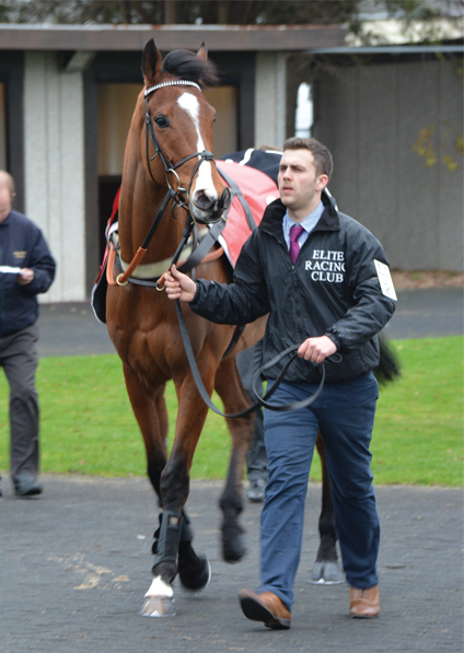  - Elgin at Kempton - 25 February 2017