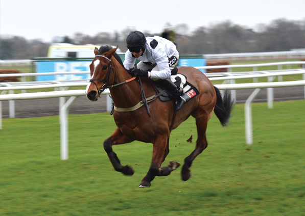  - Elgin at Kempton - 25 February 2017