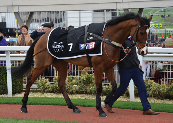  - Elgin at Cheltenham Festival - 14 March 2017