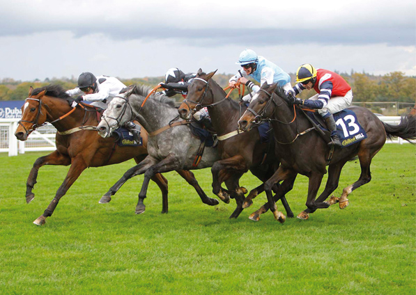  - Elgin at Ascot - 4 November 2017