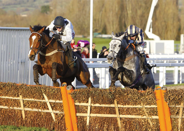  - Elgin at Cheltenham - 19 November 2017