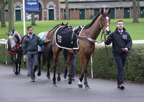  - Elgin at Ascot - 23 December 2017