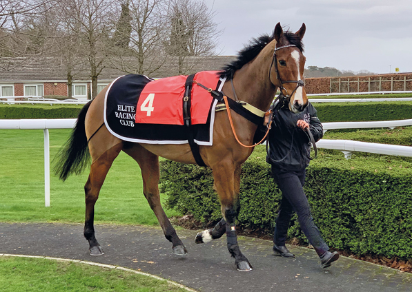  - Elgin at Kempton - 22 February 2020