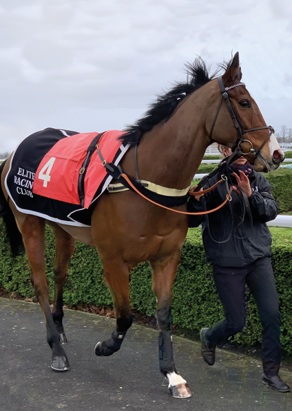  - Elgin at Kempton - 22 February 2020