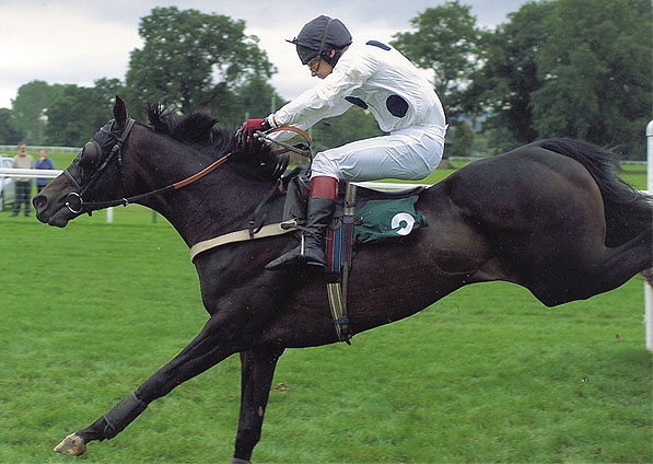  - Empire Park and Norman Williamson winning at Towcester - 8 November 2001