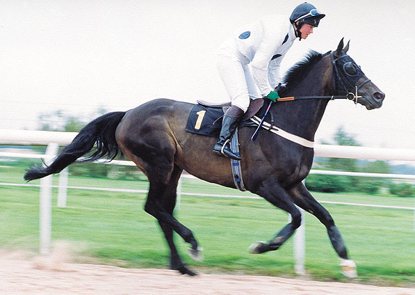  - Empire Park and Miss P Gundry winning at Southwell - 26 August 2002