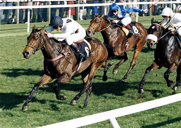  - Ffestiniog winning the Radley Stakes at Newbury - 25 October 1997