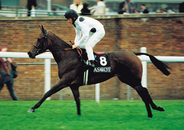  - Ffestiniog at Ascot - 26 September 1998