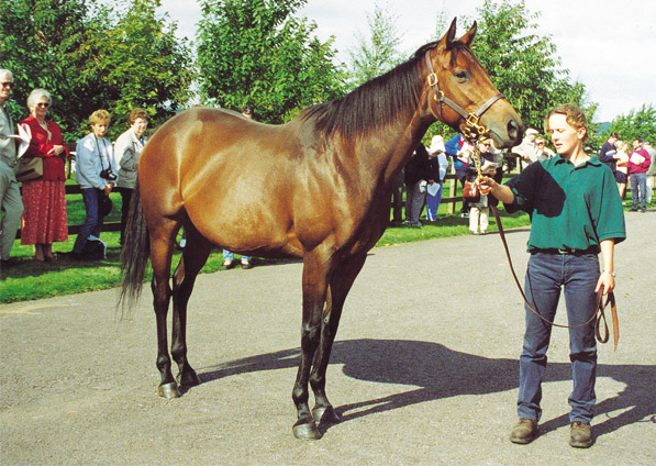  - Ffestiniog - September 2001