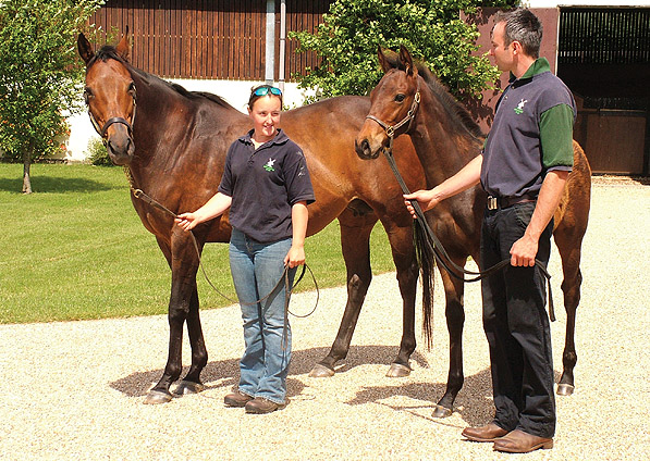  - Ffestiniog and her Shamardal foal (Llewellyn) - July 2008 - 4