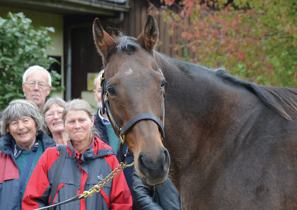  - Ffestiniog and ERC Members at Kirtlington Stud - 26 September 2019