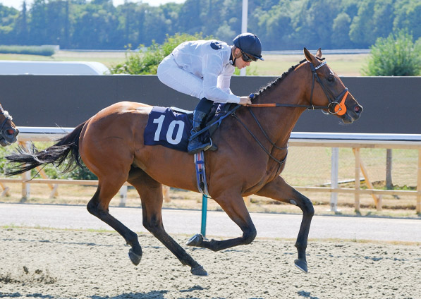  - Glenister at Lingfield - 9 August 2022