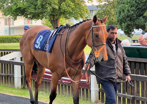  - Glenister at Lingfield - 6 June 2023