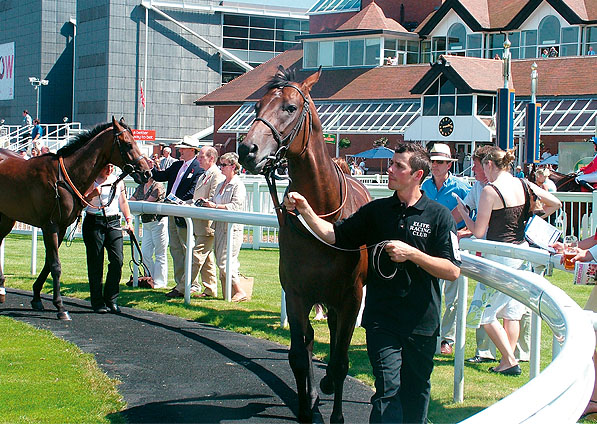  - Harlech Castle at Newbury - 5 August 2007 - 1