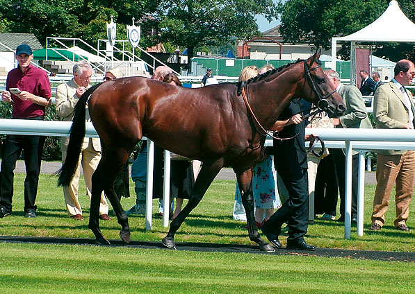  - Harlech Castle at Newbury - 5 August 2007 - 2