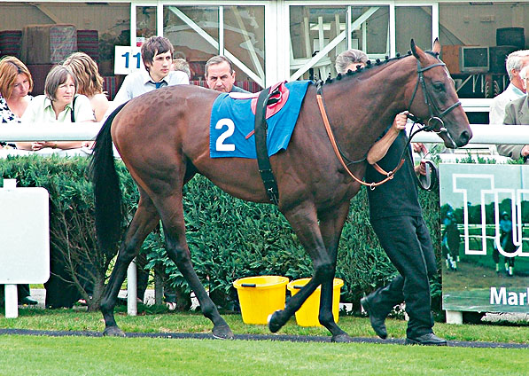  - Harlech Castle at Newbury - 24 August 2007