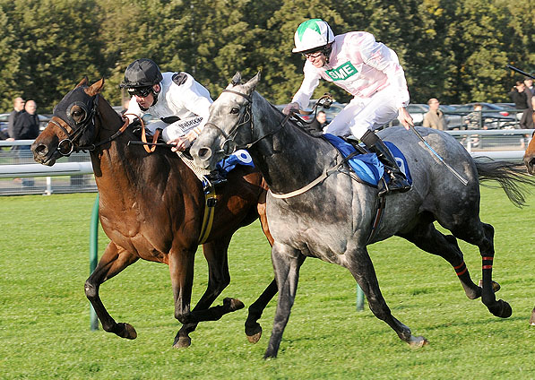  - Harlech Castle and Shane Kelly winning at Nottingham - 16 October 2008