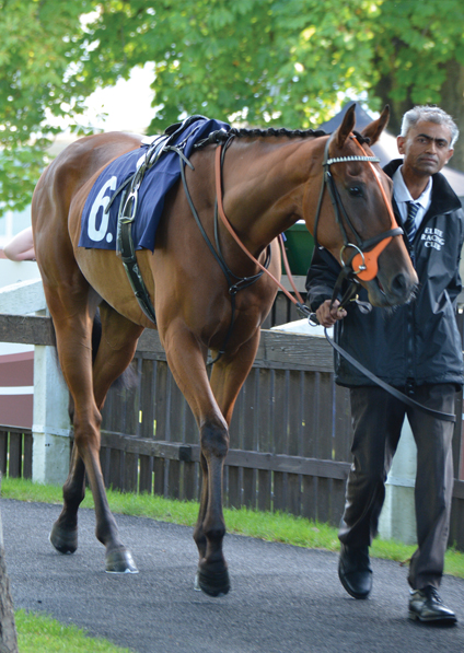  - Harmonica at Lingfield - 12 August 2017