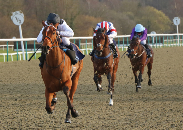  - Harmonica at Lingfield - 23 March 2018