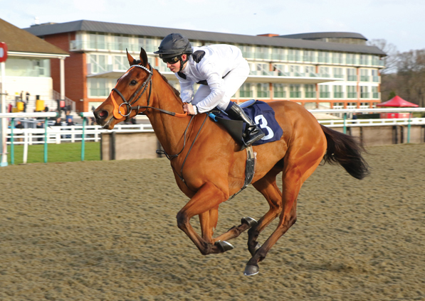  - Harmonica at Lingfield - 23 March 2018