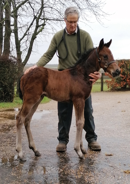  - Sea The Moon ex Harmonica colt - 2 February 2021