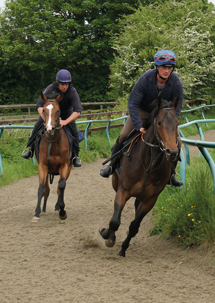  - Harmoniser (front) Mighty Quiet (Rear) - 17 May 2023