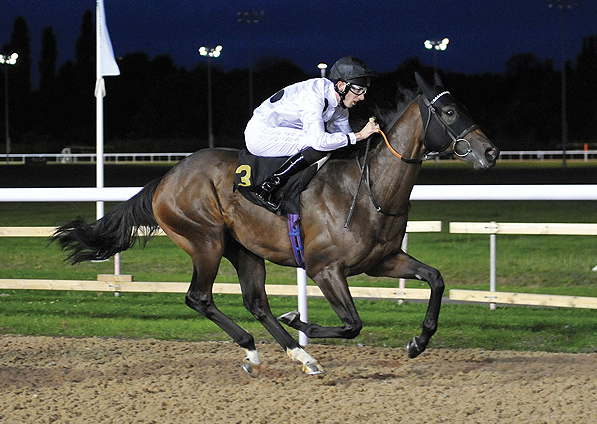  - Judicial and George Baker winning at Wolverhampton - 18 August 2014