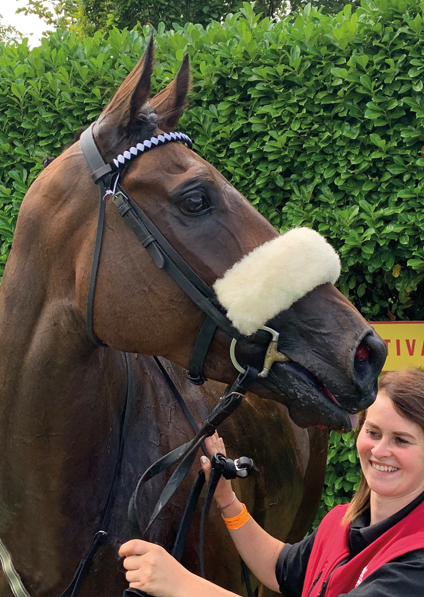  - Judicial at Goodwood - 2 August 2019