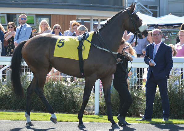  - Judicial at Newbury -  21 September 2019