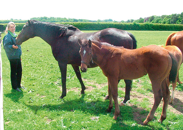  - Kabayil and her 2005 Hernando filly (Salsa Time) July 2005 - 1
