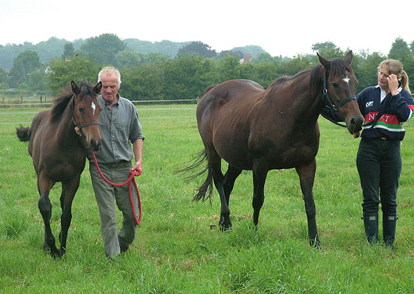  - Kabayil and her 2005 Hernando filly (Salsa Time) July 2005 - 2