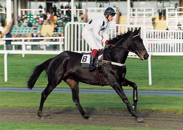  - Kadount and Robert Thornton winning at Haydock - 16 November 2003