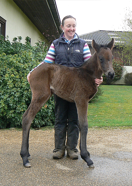  - Raven's Pass ex New Fforest filly - 11 April 2016