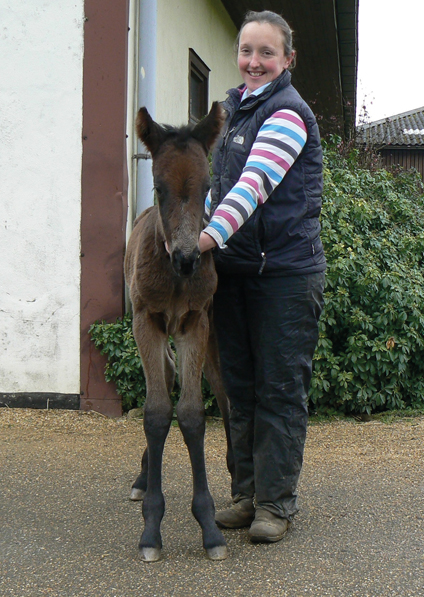  - Raven's Pass ex New Fforest filly - 11 April 2016