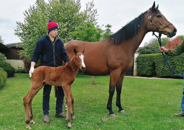  - Tribute Act and her Kingman filly -  28 April 2022