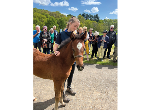  - Mayson ex Loretta filly - 10 May 2022